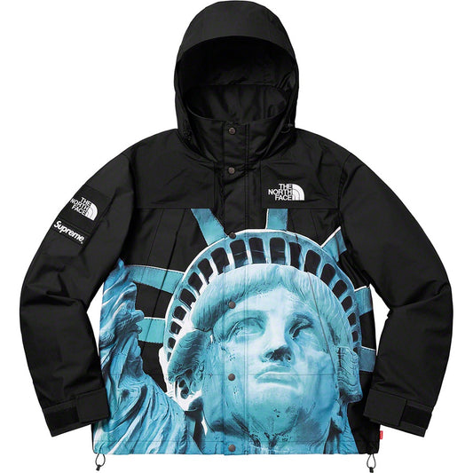 SUPREME 19FW TNF STATUE OF LIBERTY PARKA - CONCEPTSTOREHK