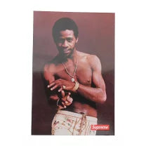SUPREME 22SS AL GREEN STICKER