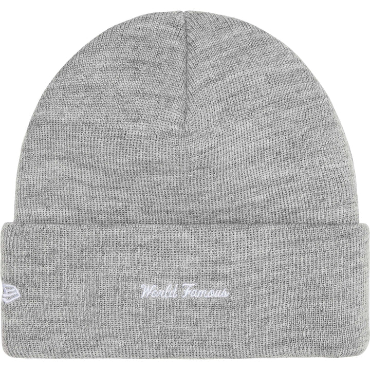SUPREME 25FW NEW ERA® BOX LOGO BEANIE