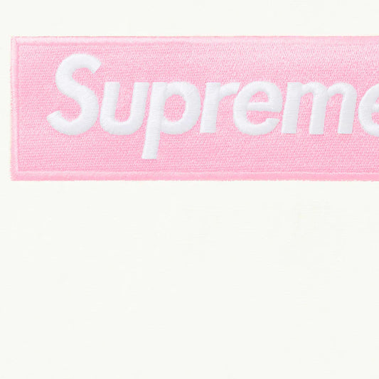 SUPREME 25FW BOX LOGO HOODED SWEATSHIRT