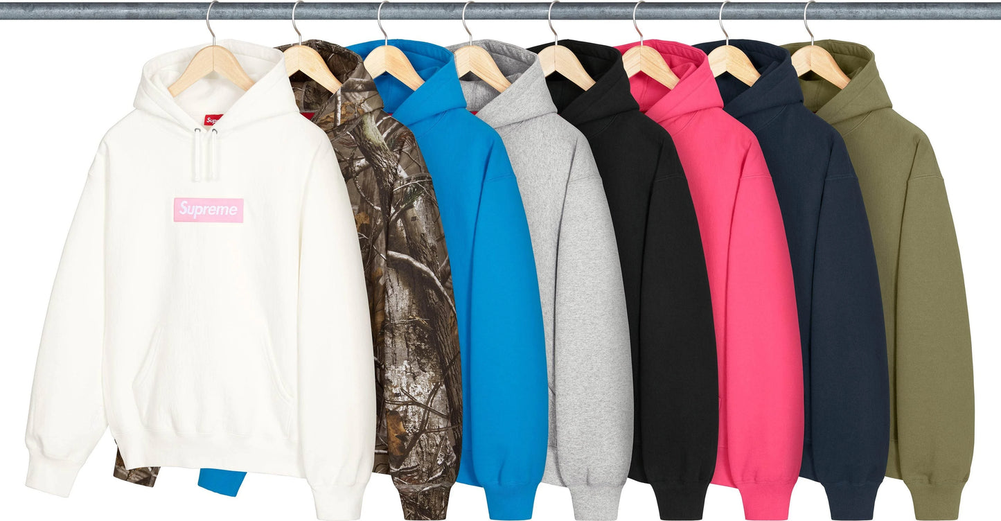 SUPREME 25FW BOX LOGO HOODED SWEATSHIRT