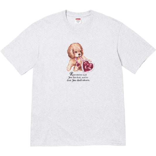 SUPREME 25FW DUST TEE