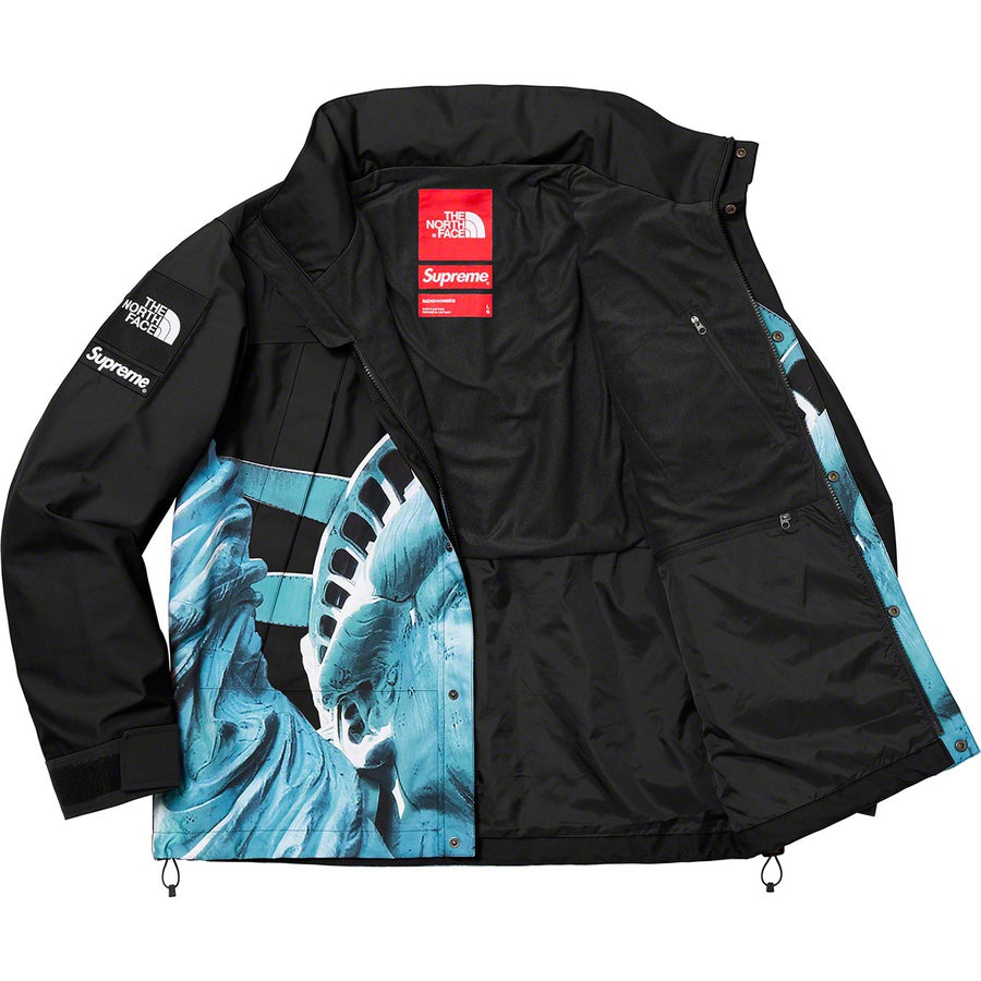 SUPREME 19FW TNF STATUE OF LIBERTY PARKA - CONCEPTSTOREHK