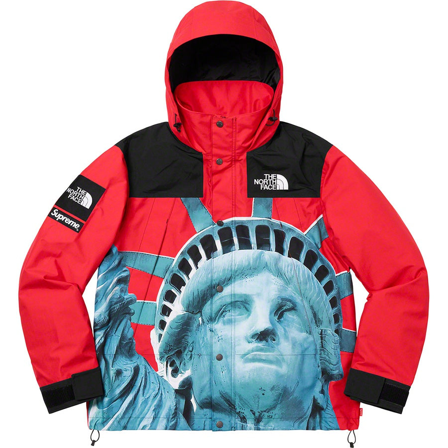 SUPREME 19FW TNF STATUE OF LIBERTY PARKA - CONCEPTSTOREHK