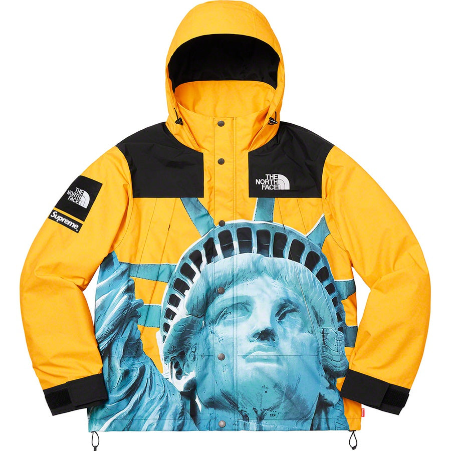 SUPREME 19FW TNF STATUE OF LIBERTY PARKA - CONCEPTSTOREHK