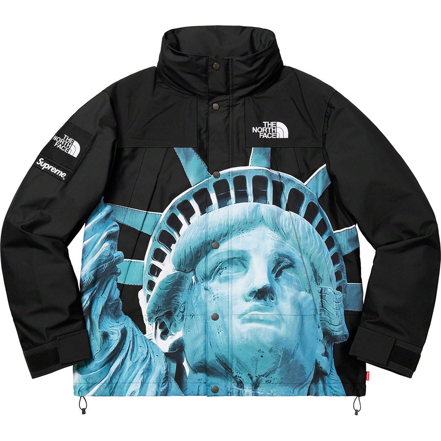 SUPREME 19FW TNF STATUE OF LIBERTY PARKA - CONCEPTSTOREHK