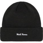 SUPREME 22FW BOX LOGO BEANIE